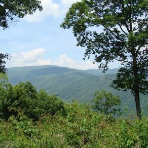 Meet your Posher, Terri terry